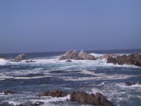 105_0539_IMG.jpg