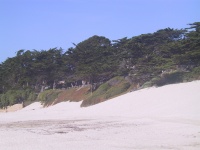 105_0546_IMG.jpg