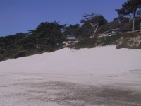 105_0547_IMG.jpg