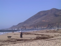 105_0551_IMG.jpg