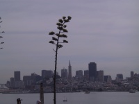 105_0589_IMG.jpg