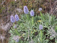 106_0610_IMG.jpg