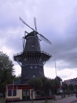 IMG_0411.jpg