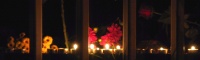 candle_rose.jpg