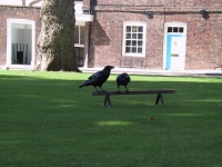 IMG_0077.jpg