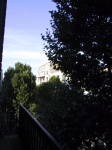 IMG_0215.jpg
