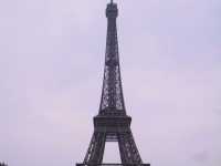 STB_0287.jpg