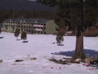 108_0847_IMG.jpg