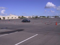 1984_911_Targa_Jessica_driving_3.jpg
