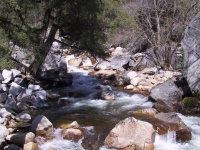 River_Rapids_fed_by_Mirror_Lake.jpg