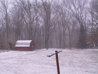 Snowy_backyard.jpg