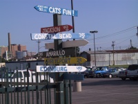 Cat_s_sign_post.jpg