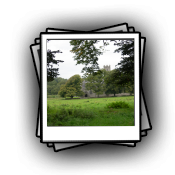 adare