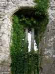 DSCN0546.JPG