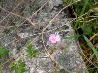 DSCN0553.JPG