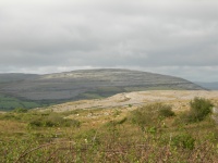 DSCN0578.JPG