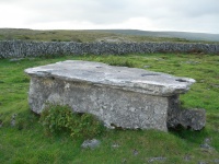 DSCN0594.JPG
