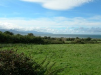 DSCN0310.JPG