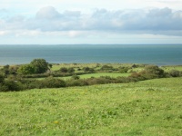 DSCN0313.JPG