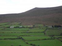 DSCN0323.JPG