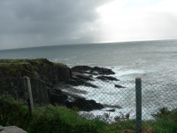DSCN0347.JPG
