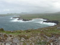 DSCN0372.JPG