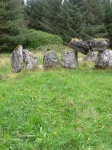 DSCN0705.JPG