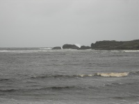 DSCN0727.JPG