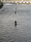 DSCN0600.JPG