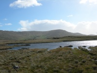 DSCN0604.JPG