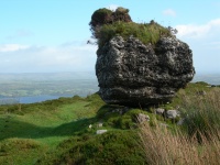 DSCN0646.JPG