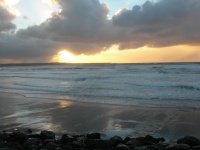 DSCN0684.JPG