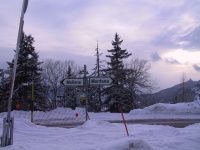 IMG_0229.jpg