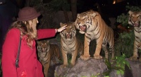 Jessica_petting_cats.jpg