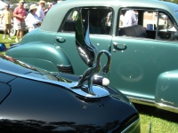 DSCN1282.JPG