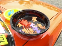 DSCN1245.JPG