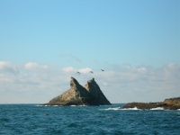 DSCN0841.JPG