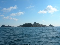 DSCN0848.JPG