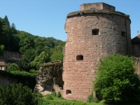 DSCN1544.JPG