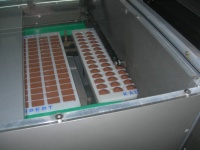 DSCN1705.JPG