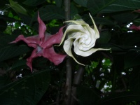 DSCN2260.JPG