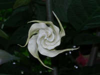DSCN2262.JPG