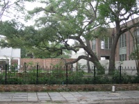 DSCN2277.JPG