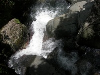 DSCN3340_JPG.JPG