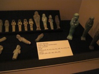 IMG_1609.jpg