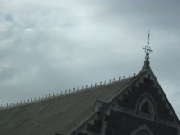 IMG_1624.jpg
