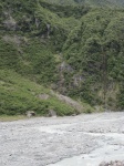 IMG_2009.jpg