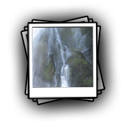 nz