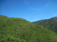 IMG_1559.jpg