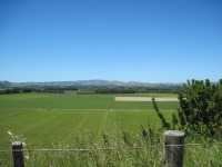 IMG_1561.jpg
